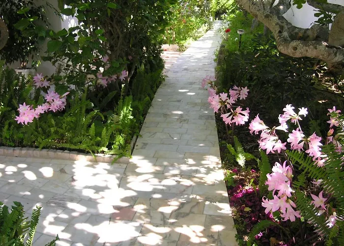 Buganvilea - Vivenda Johanna 라고스